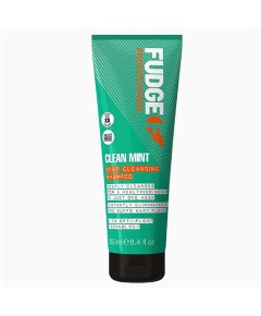 Professional Clean Mint Deep Cleansing Shampoo