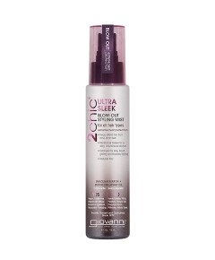 2 Chic Ultra Sleek Blow Out Styling Mist
