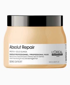 Absolut Repair Professional Mask