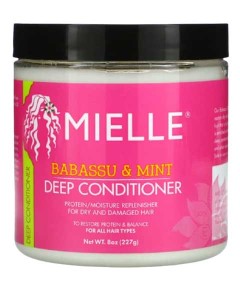 Babassu Oil And Mint Deep Conditioner 